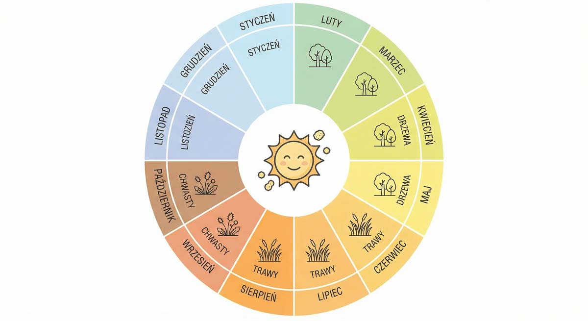 Infografika — kalendarz pylenia roślin w Polsce z podziałem na miesiące